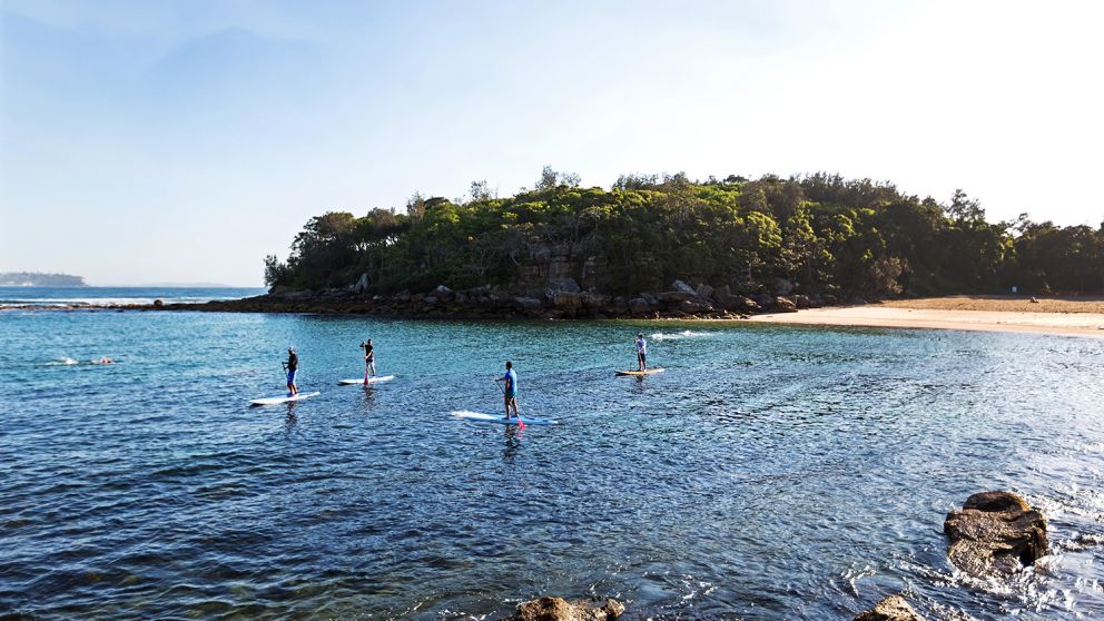 StandUp Paddle Boarding Sydney Official Sydney Tourism site